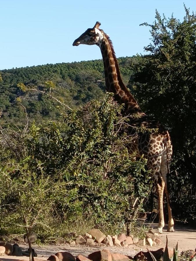 Ndhula Luxury Tented Lodge Уайт-Ривер Экстерьер фото